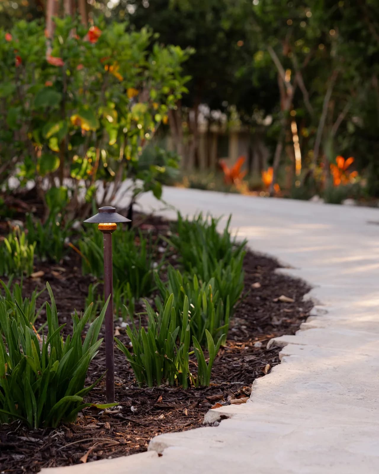 Low landscape lights beside a curving garden path at The Cove