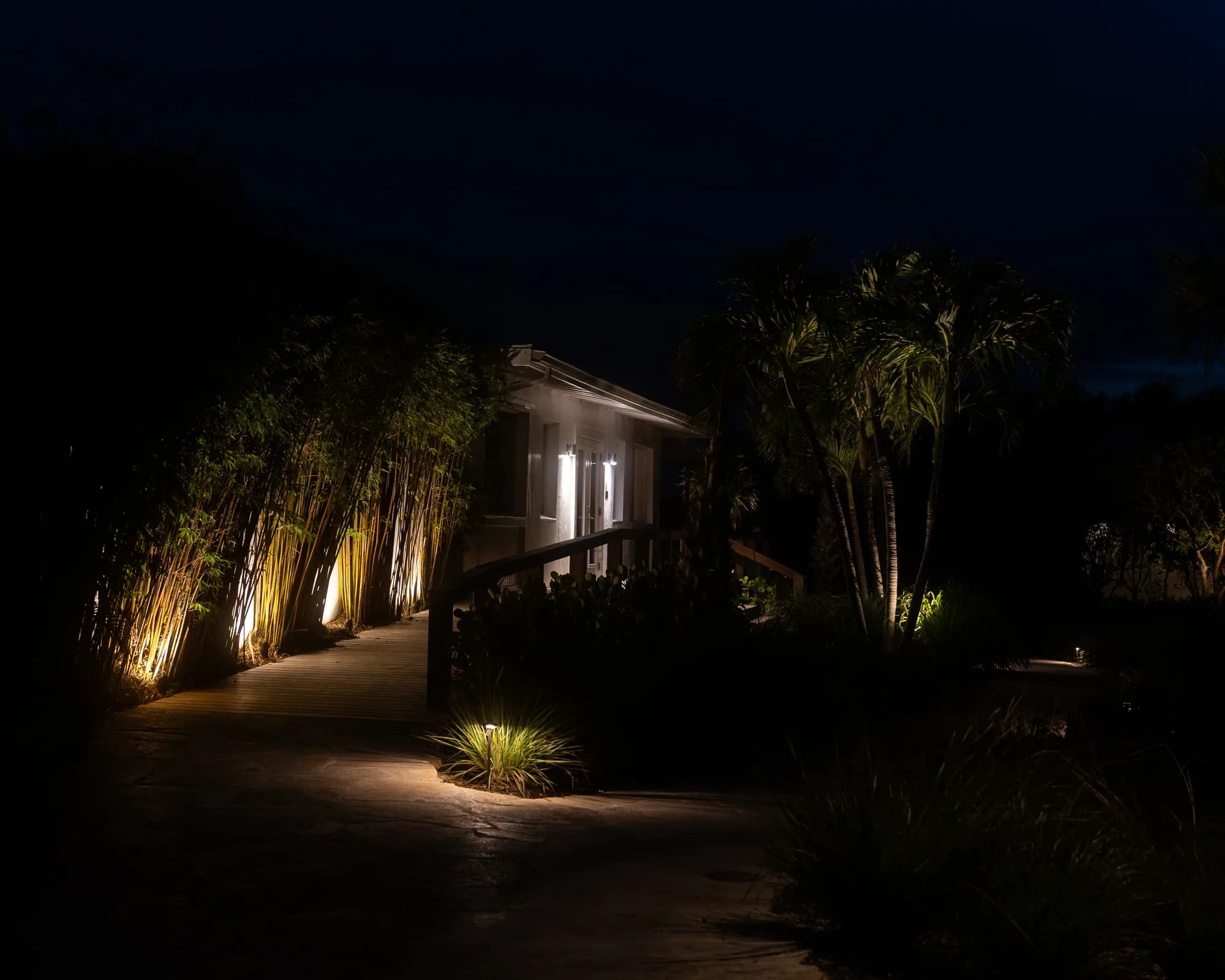 The Cove building and garden path framed by illuminated palms at night